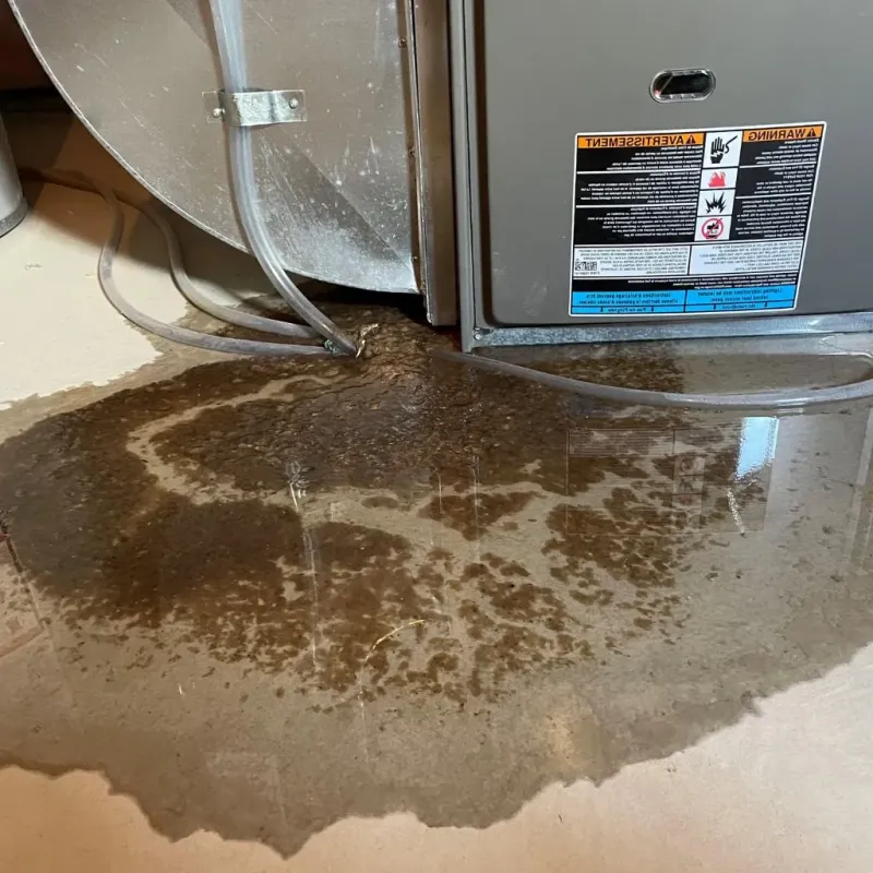 Pipe Burst and Leak Restoration in Hidden Valley Lake, CA