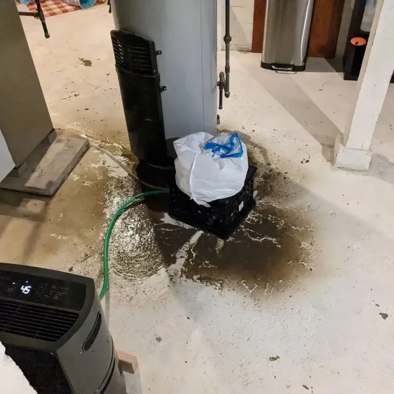 Sewage Backup Cleanup Service in Hidden Valley Lake, CA